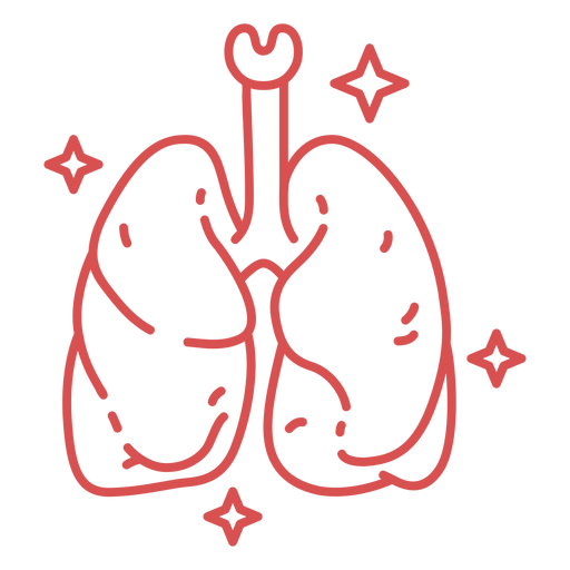 Curso de pulmões humanos rosa