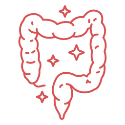 Curso de intestinos humanos rosa Transparent PNG