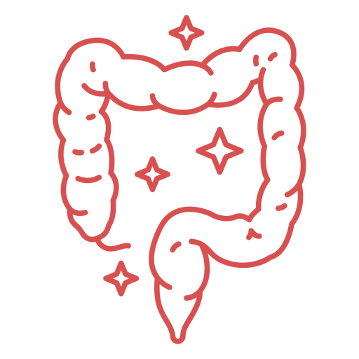 Pink human intestines stroke PNG Design