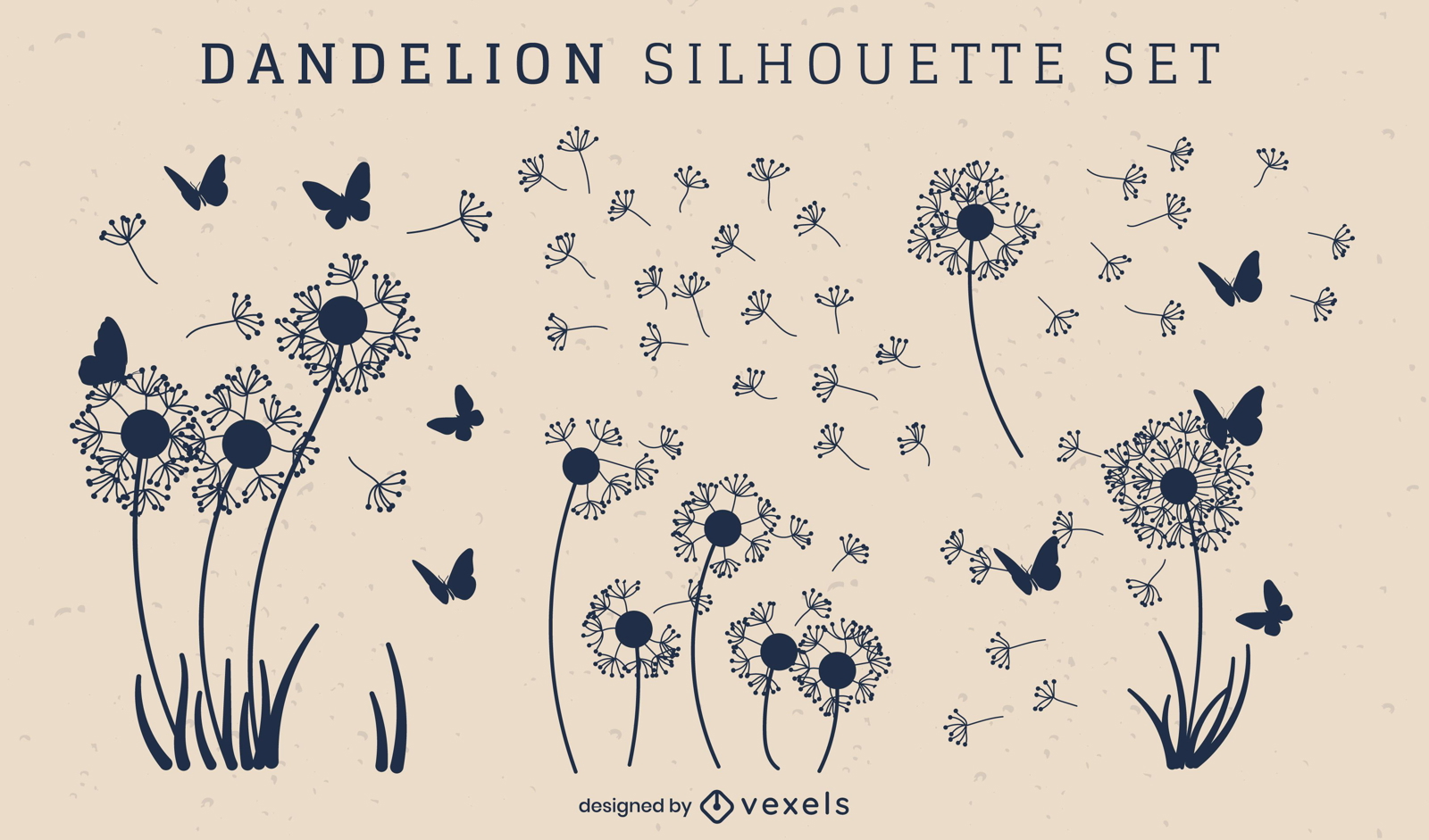 dandelion vector png