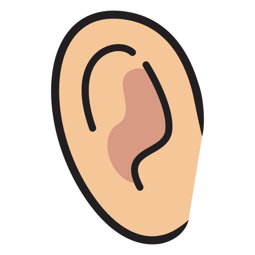 Little ear color stroke PNG Design