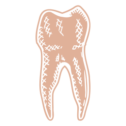 Human tooth profile cut out hand drawn