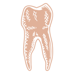 Menschliches Zahnprofil ausgeschnitten, handgezeichnet PNG-Design