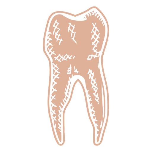 Perfil do dente humano cortado à mão Desenho PNG