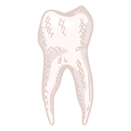 Perfil de diente humano color dibujado a mano