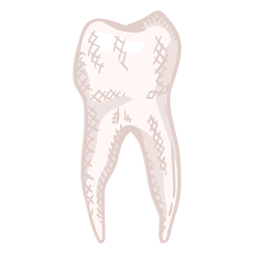 Cor desenhada à mão do perfil do dente humano Desenho PNG