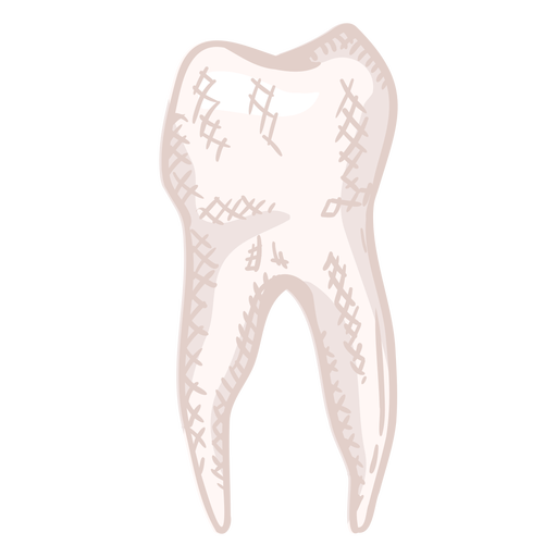 Human tooth profile hand drawn color PNG Design