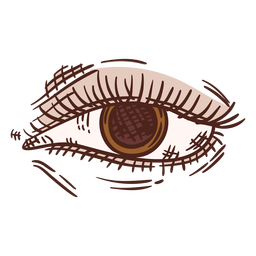 Color de ojos marrón frontal dibujado a mano. Transparent PNG