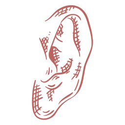 Ear hand drawn element PNG Design