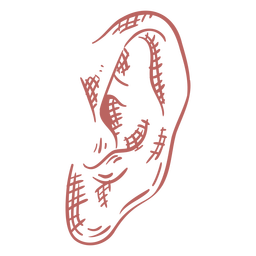Elemento desenhado à mão de orelha Desenho PNG