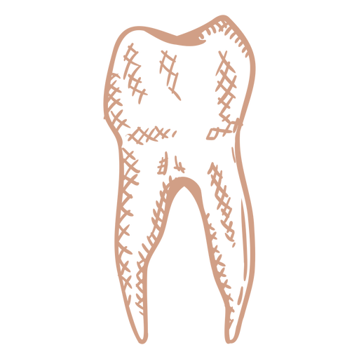 Curso preenchido de molar único Desenho PNG
