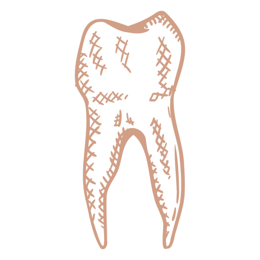 Curso preenchido de molar ?nico Desenho PNG