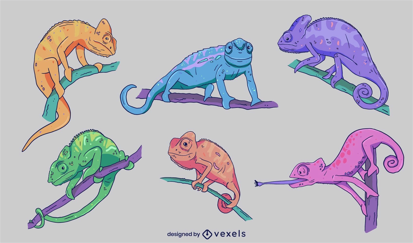 Conjunto de camaleones coloridos dibujados a mano