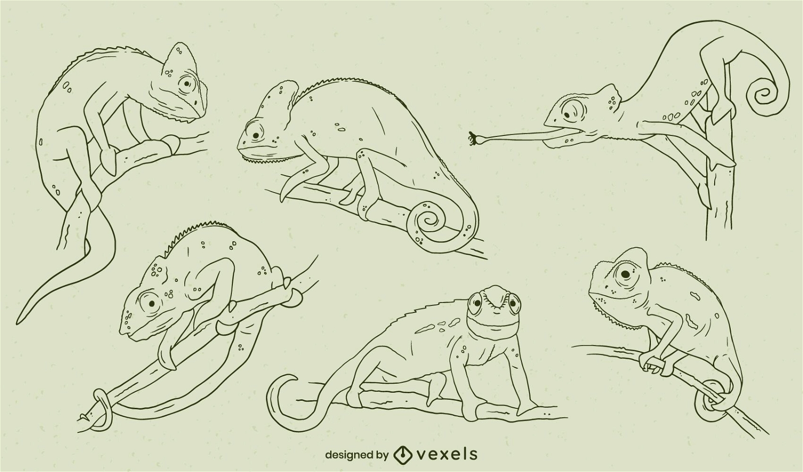 Conjunto de trazo dibujado a mano de camaleones