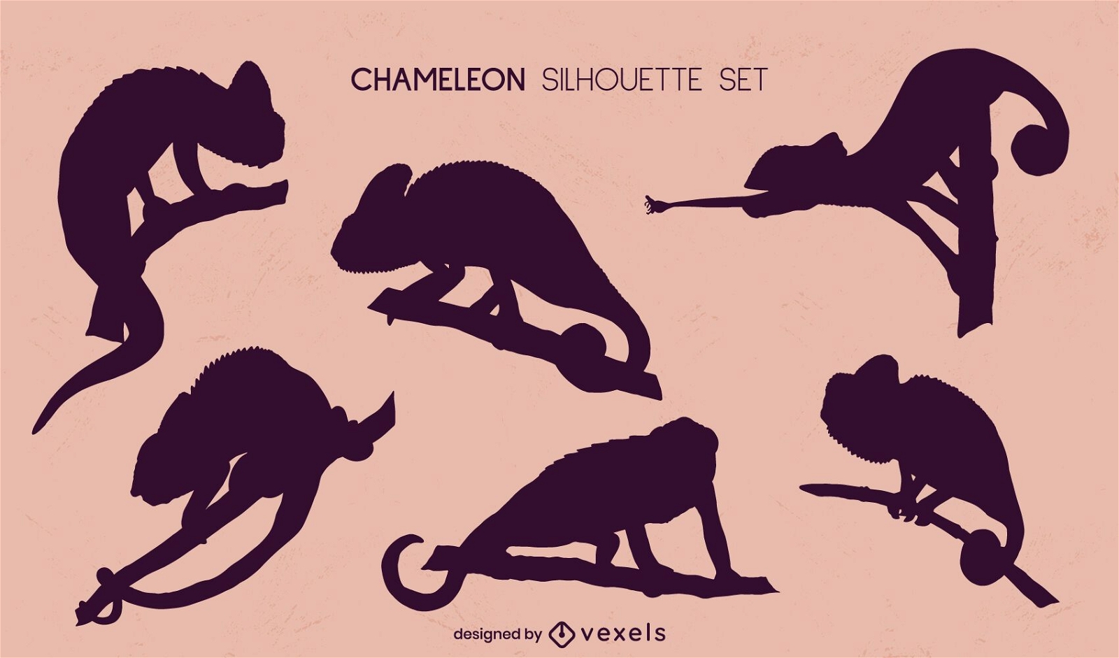 Set of chameleons silhouettes