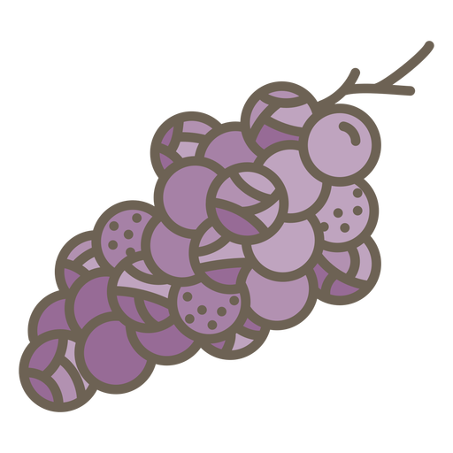 Grapes fruit geometric color stroke PNG Design
