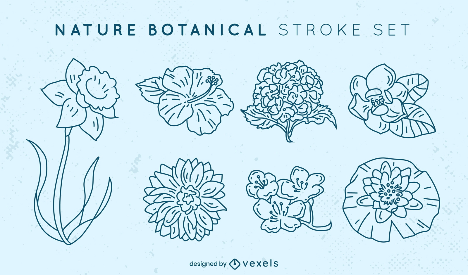 Beautiful set of stroke flowers