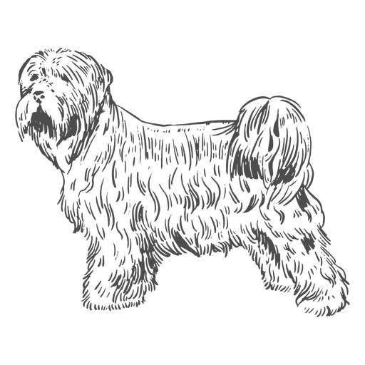 Flauschiger, mit Hund gefüllter Schlaganfall PNG-Design