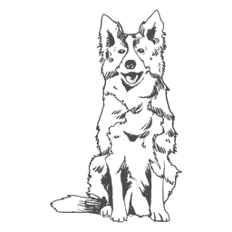 Trazo lleno de perro border collie Diseño PNG