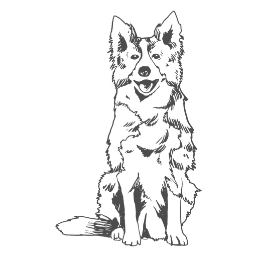 Border-Collie-Hund füllte Schlaganfall PNG-Design