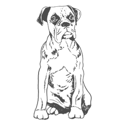 Boxerhand gezeichnet PNG-Design