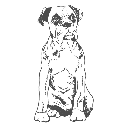 Boxer hand drawn PNG Design