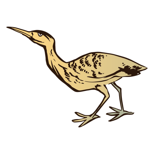 Small brown bird color stroke PNG Design