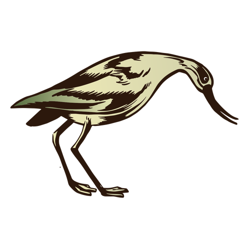 Weißer und grüner Vogelfarbstrich PNG-Design