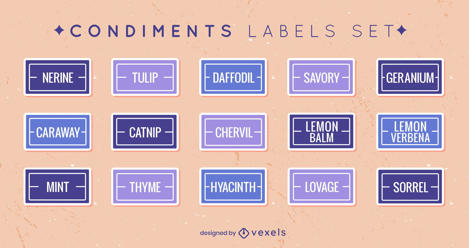 Set of flat condiment labels set