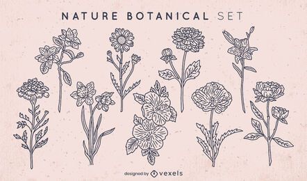 Line art flowers set