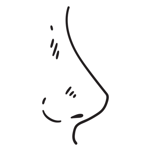 Curso de nariz de rinoplastia Desenho PNG
