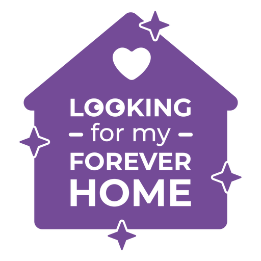 Looking for my forever home cut out PNG Design