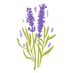 Lavender Flowers Flat PNG & SVG Design For T-Shirts