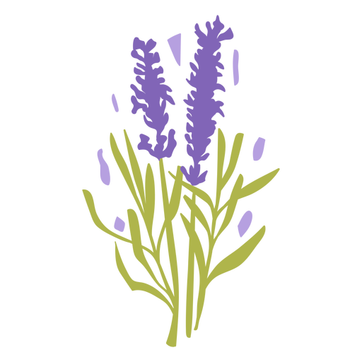 Flores de lavanda planas Desenho PNG