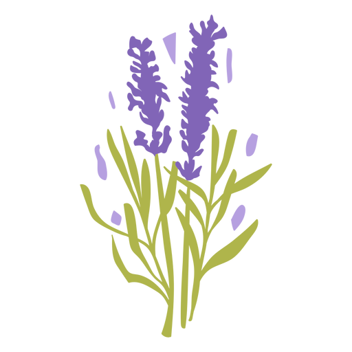 Lavendel bl?ht flach PNG-Design