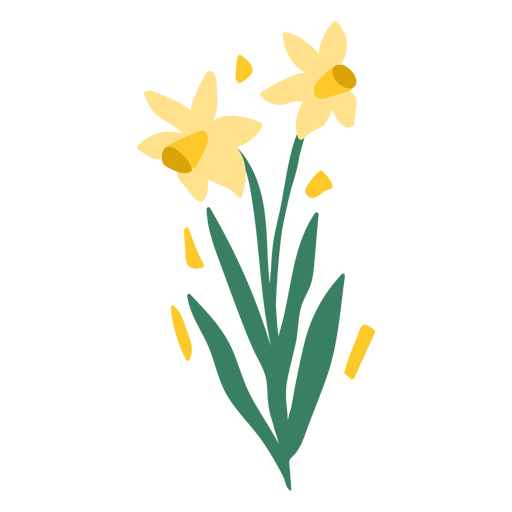 Flores de narciso semi planas Desenho PNG