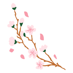 Sakura blüht halbflach PNG-Design