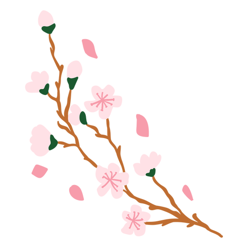 Sakura blüht halbflach PNG-Design