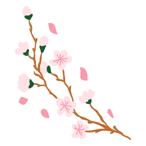 Sakura flores semi planas Diseño PNG