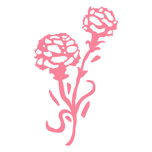 Flores de clavel rosa cortadas Diseño PNG