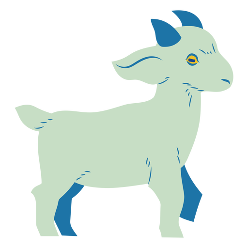 Cabra azul semi plana