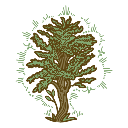 Trazo de color de árbol viejo Diseño PNG