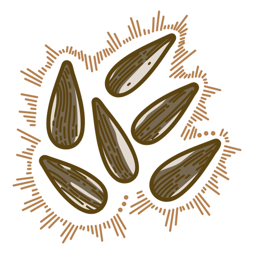 Trazo de color de semillas de girasol Diseño PNG