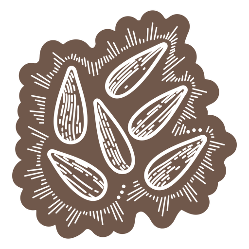 Brown sunflower seeds cut out PNG Design