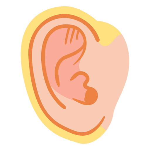 Ear semi flat