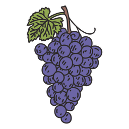 Bunch Grapes Illustration PNG & SVG Design For T-Shirts