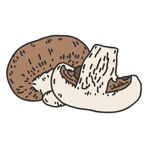 Champignon mushrooms illustration