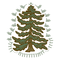 Winter tree color stroke PNG Design