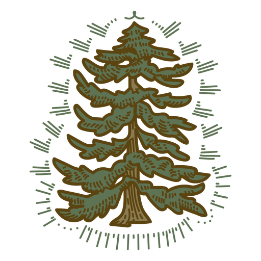 Farbstrich des Winterbaums PNG-Design