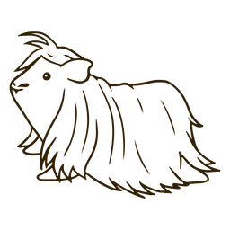 Porquinho da índia - 9 Desenho PNG
